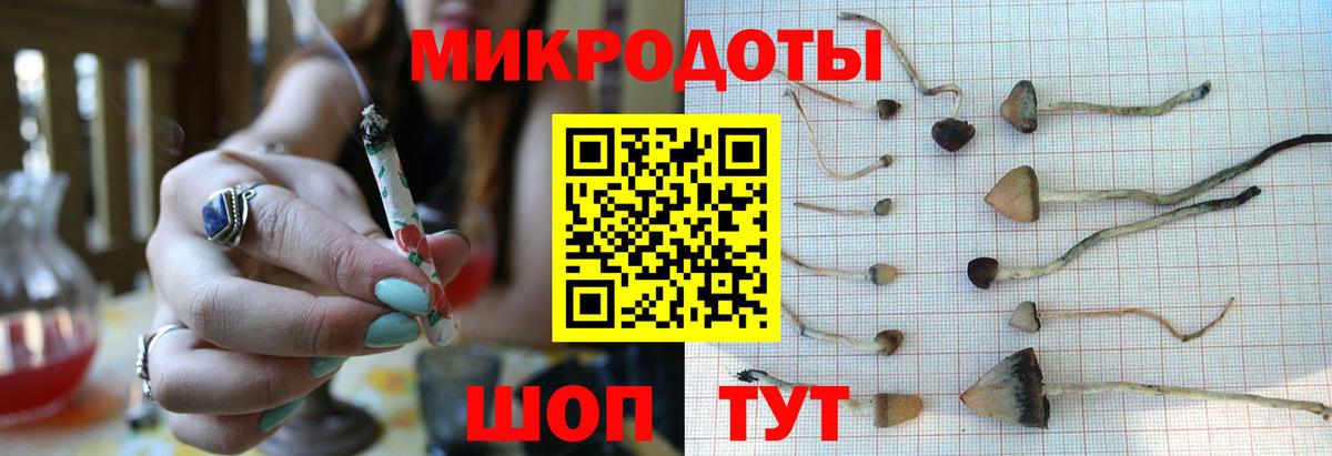 Галлюциногенные грибы Psilocybine cubensis  Вход с VPN  Ливны 